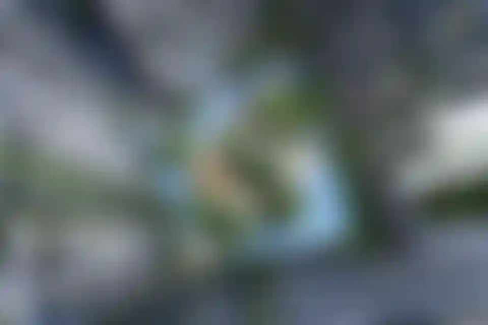 image for main block