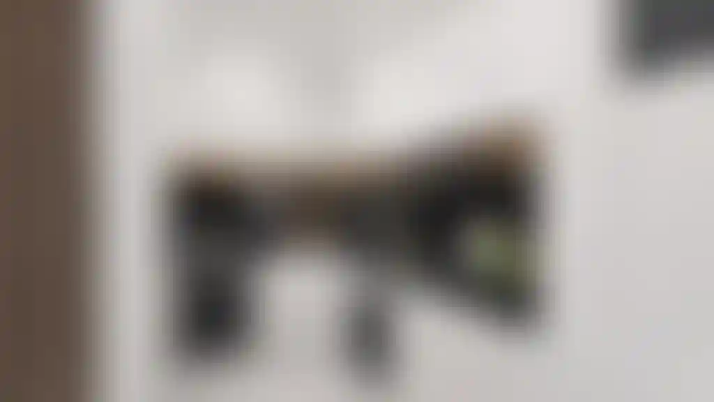 image for main block