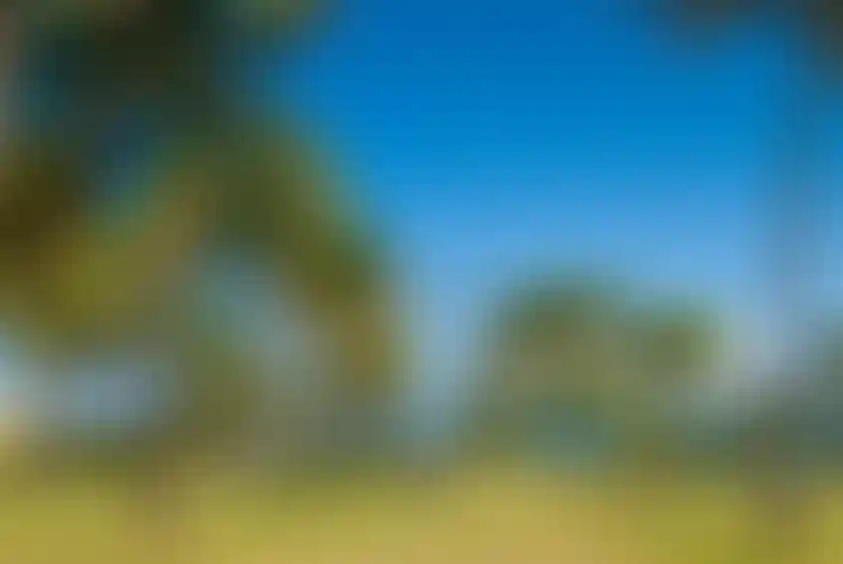 image for main block