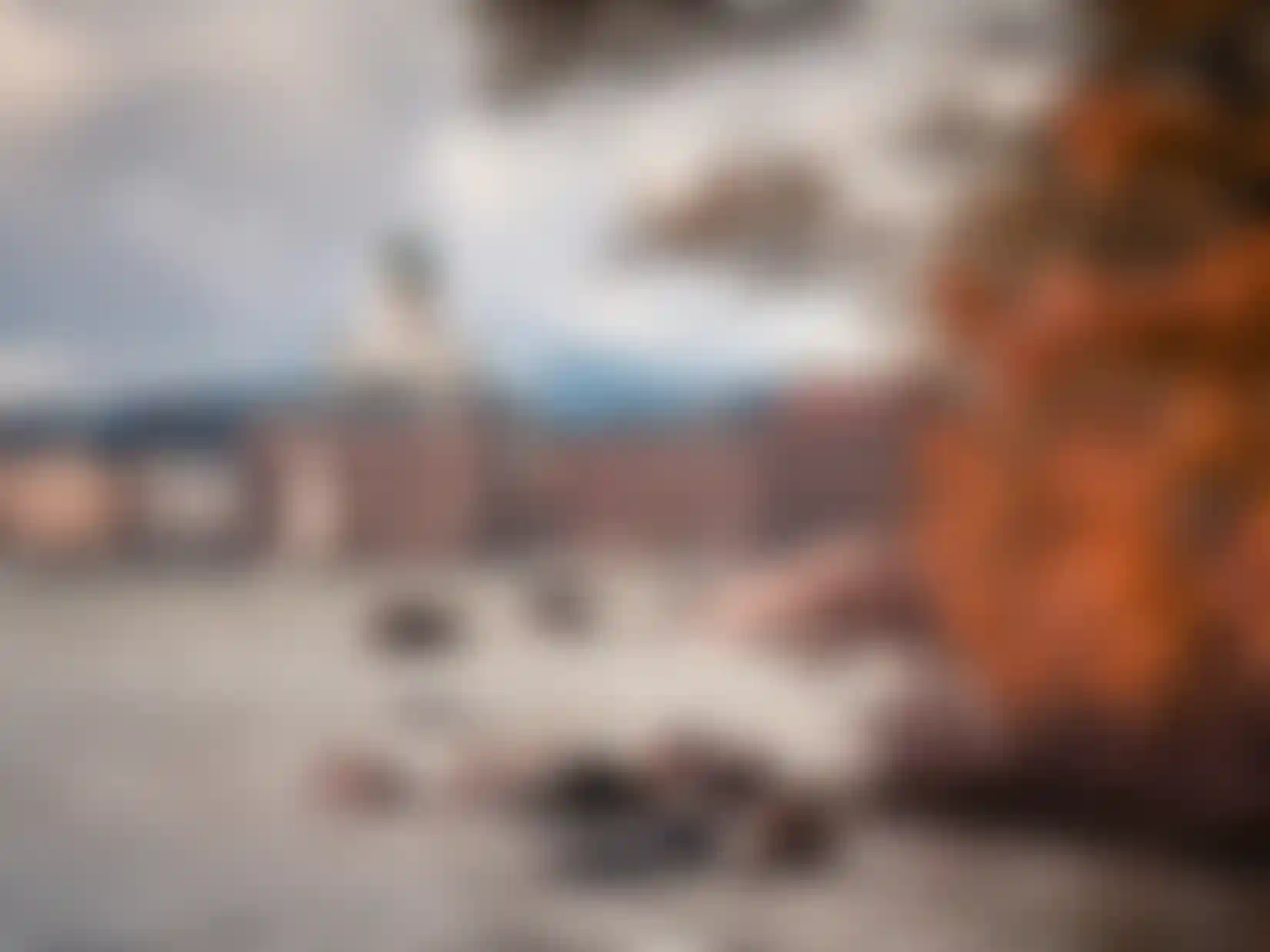 image for main block