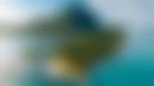 image for main block