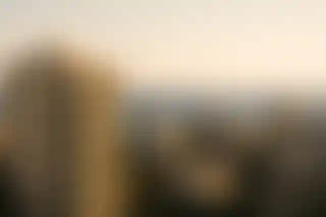 How does the growth in real estate transactions in Cyprus impact investments?