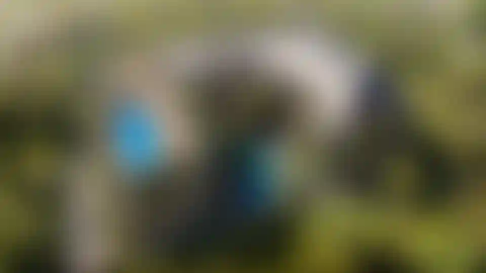 Why do investors choose professionally managed real estate in Bali?