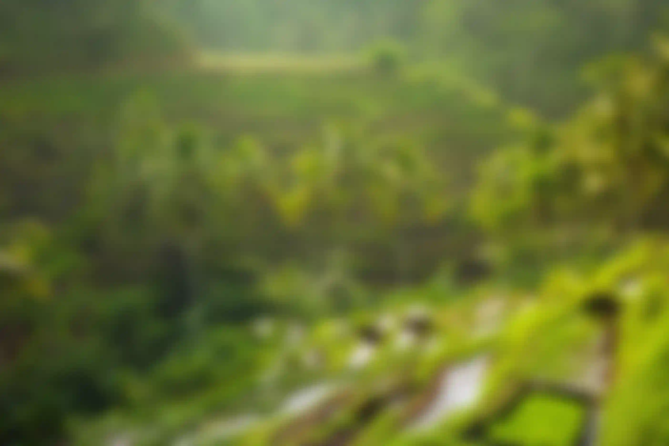 Ubud, Bali, was ranked among the top 10 safest places for female digital nomads