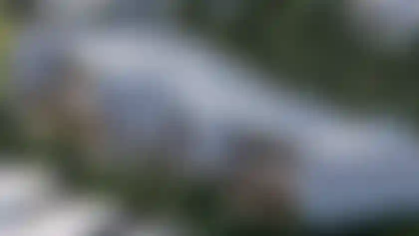 image for main block