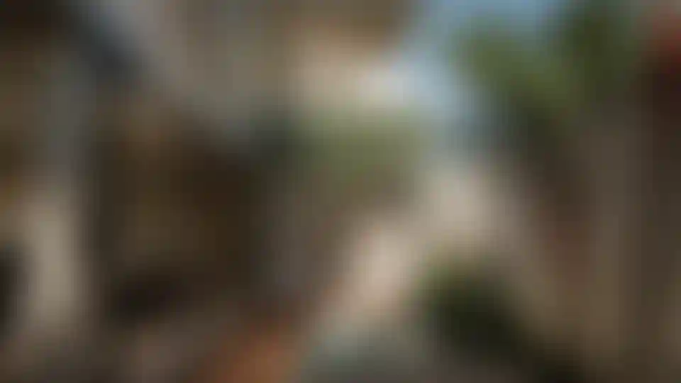 image for main block