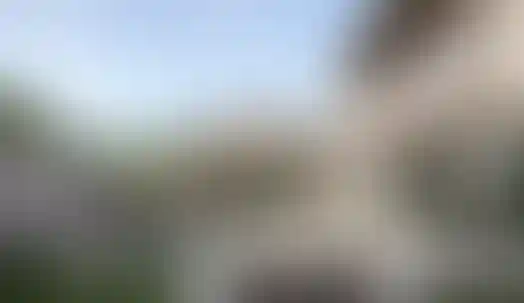 image for main block