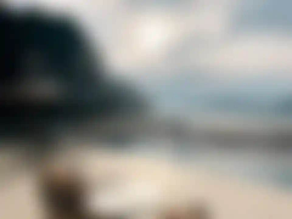 image for main block