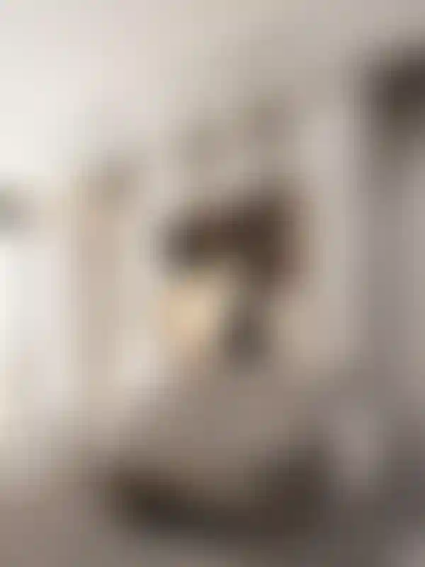 image for main block