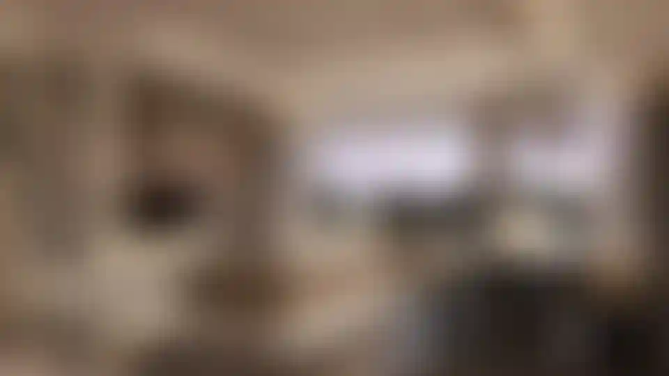 image for main block