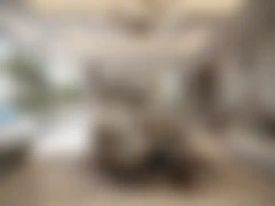 image for main block