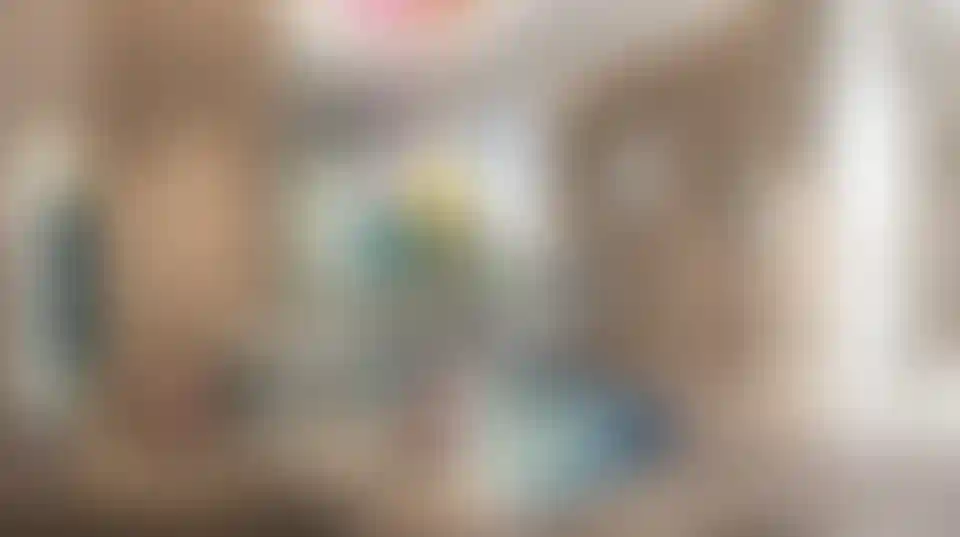 image for main block