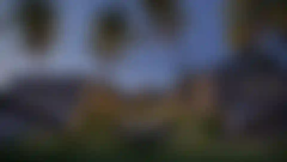 image for main block