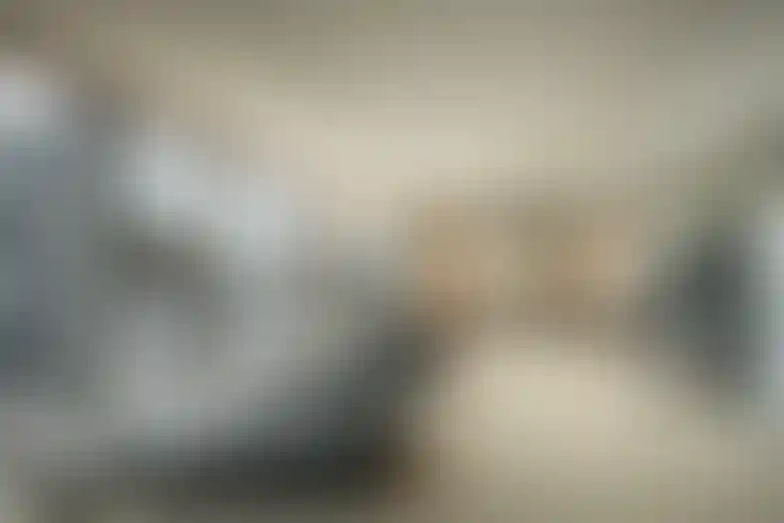 image for main block