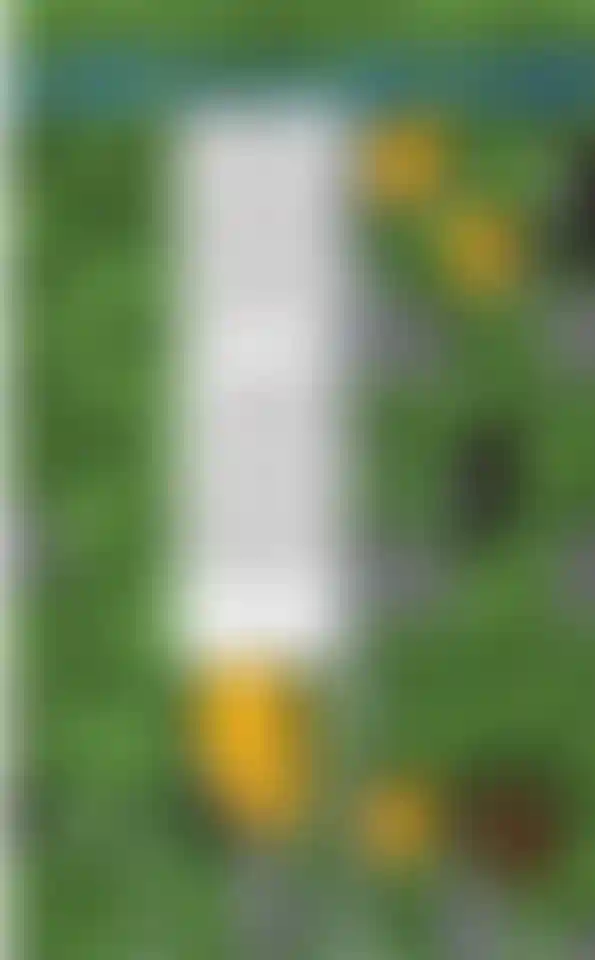 image for main block