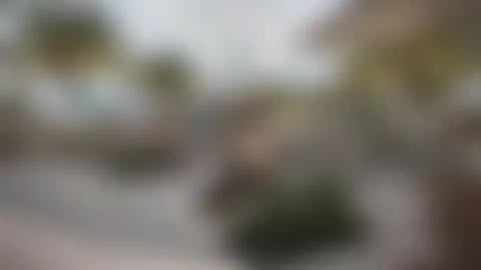 image for main block