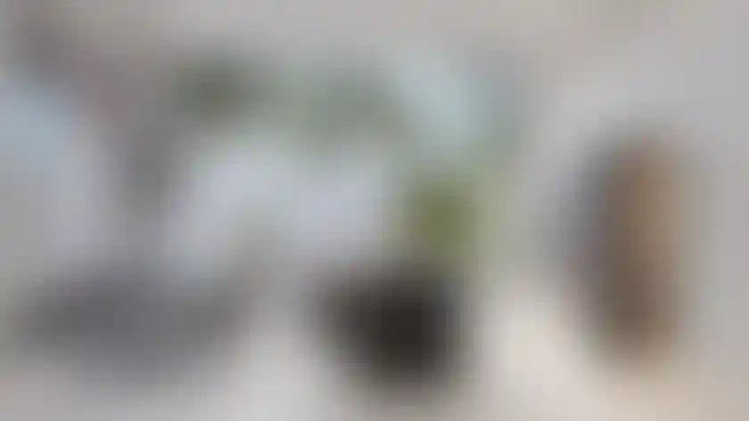 image for main block