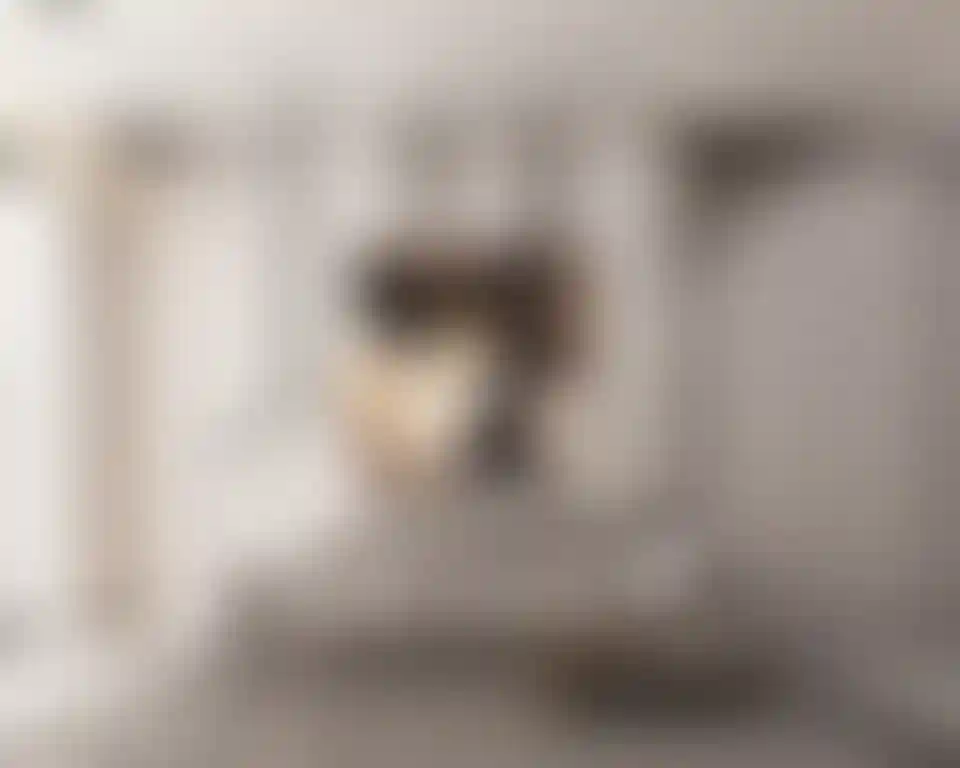 image for main block