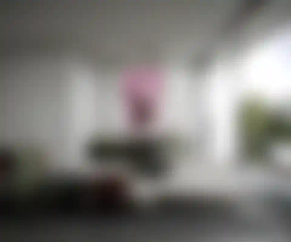 image for main block