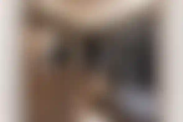 image for main block