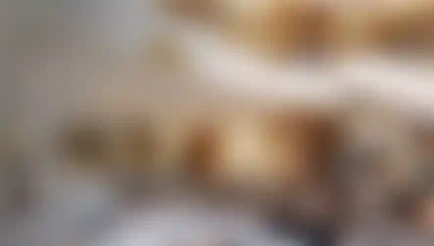 image for main block