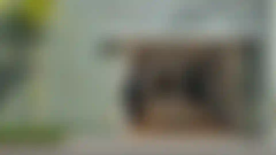 image for main block