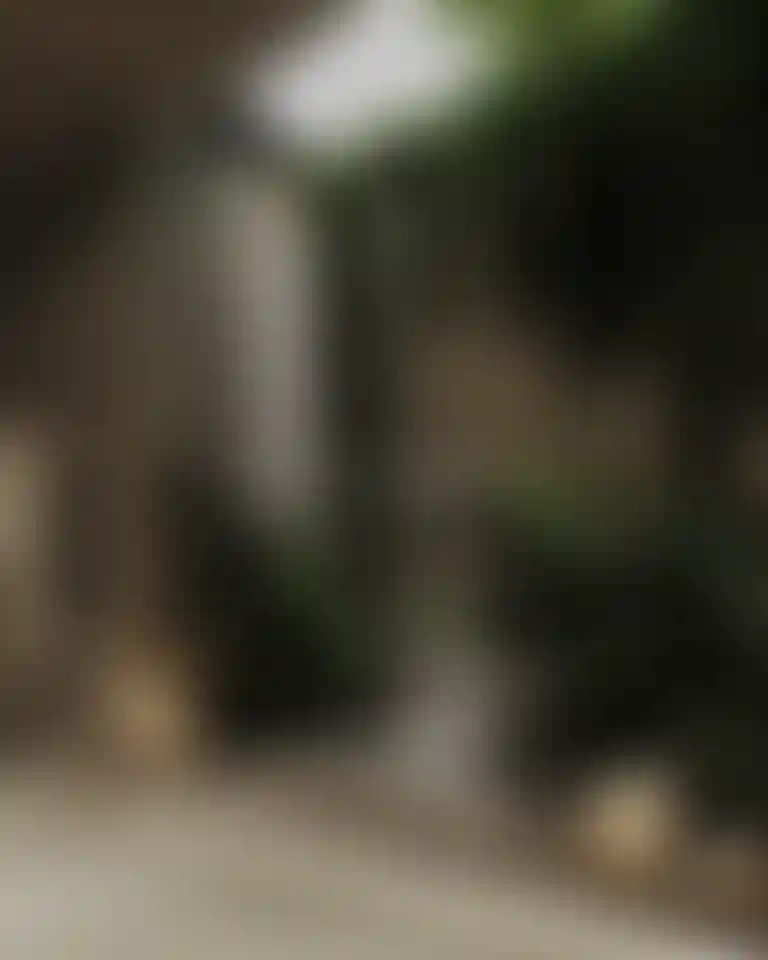 image for main block