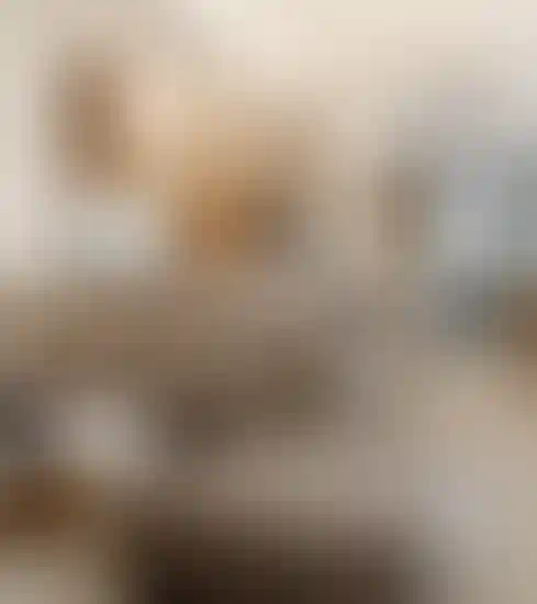 image for main block