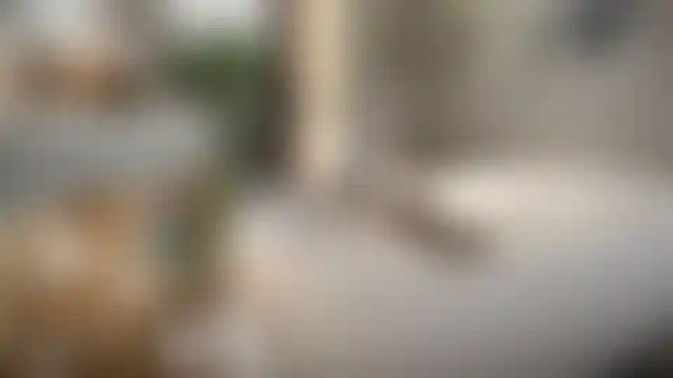 image for main block