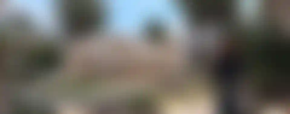 image for main block