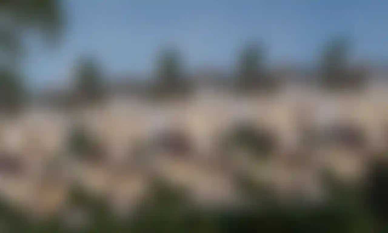 image for main block