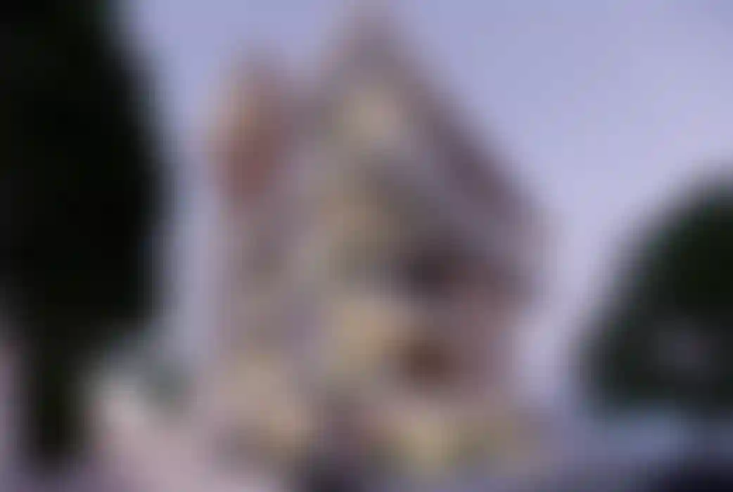 image for main block