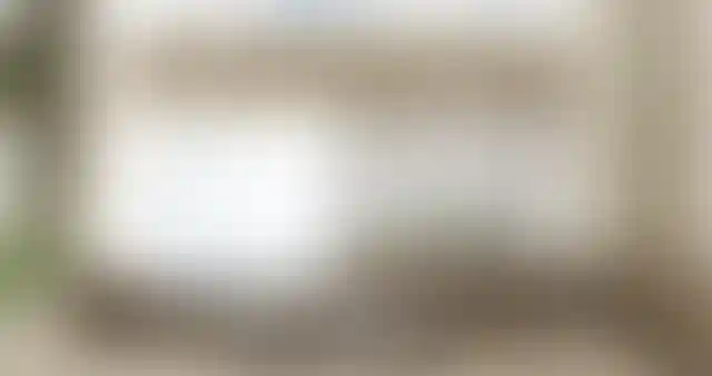 image for main block