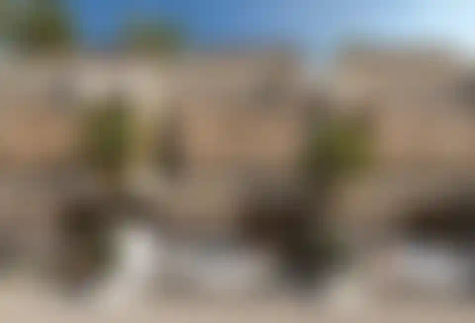 image for main block