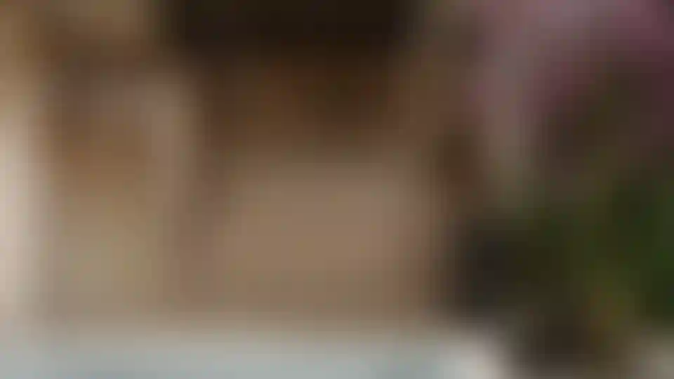 image for main block