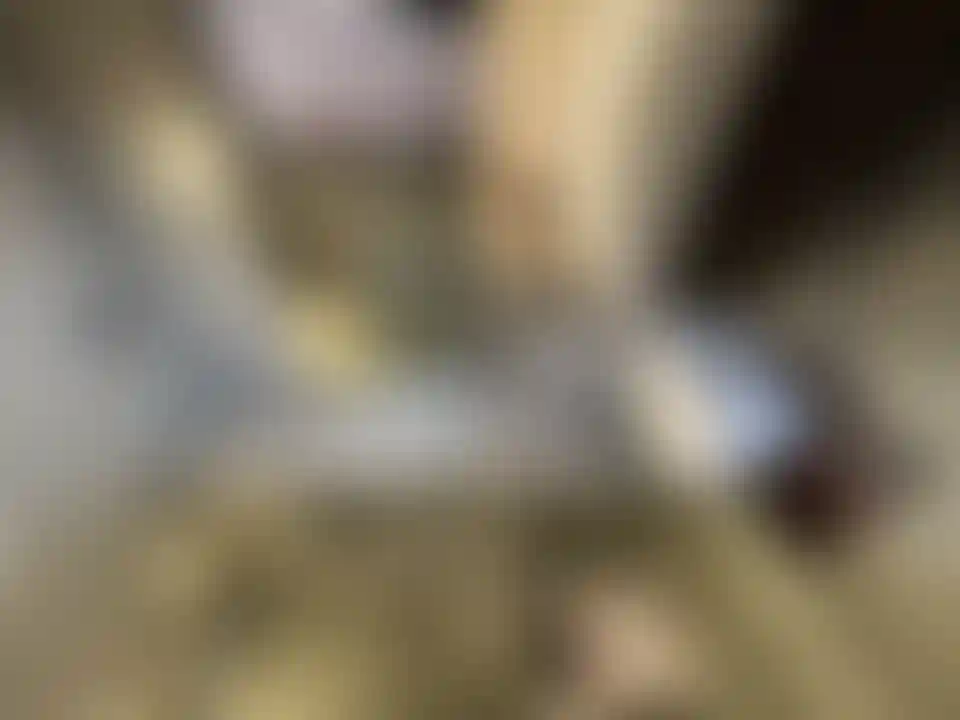 image for main block