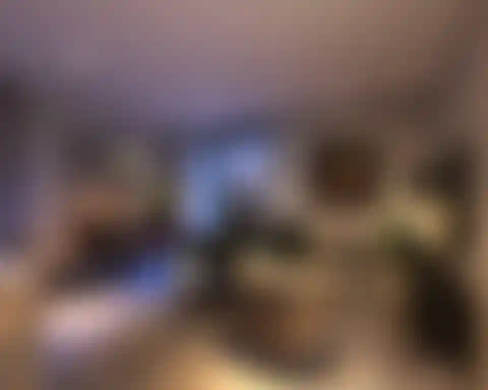 image for main block