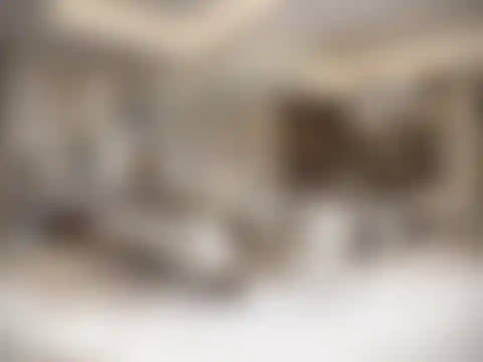 image for main block