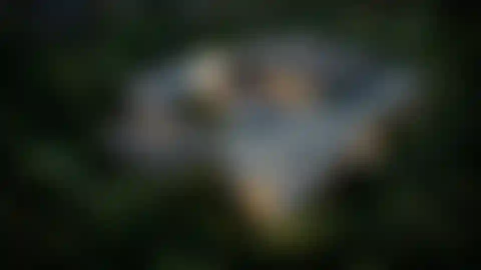 image for main block