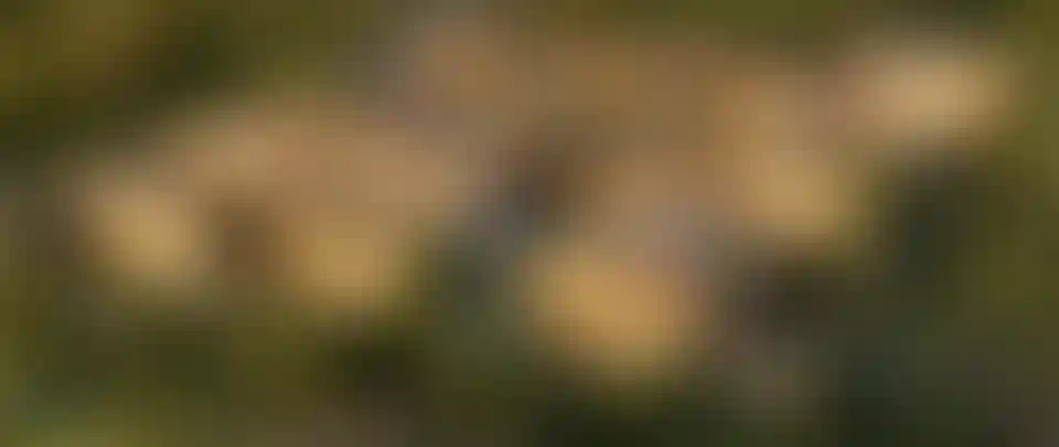 image for main block