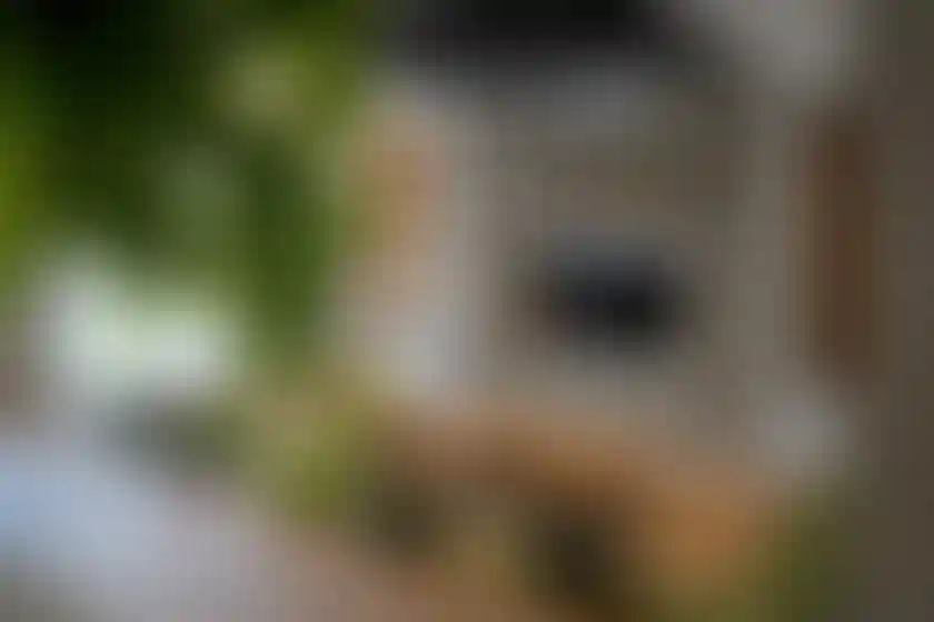 image for main block