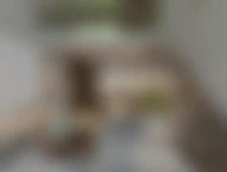 image for main block