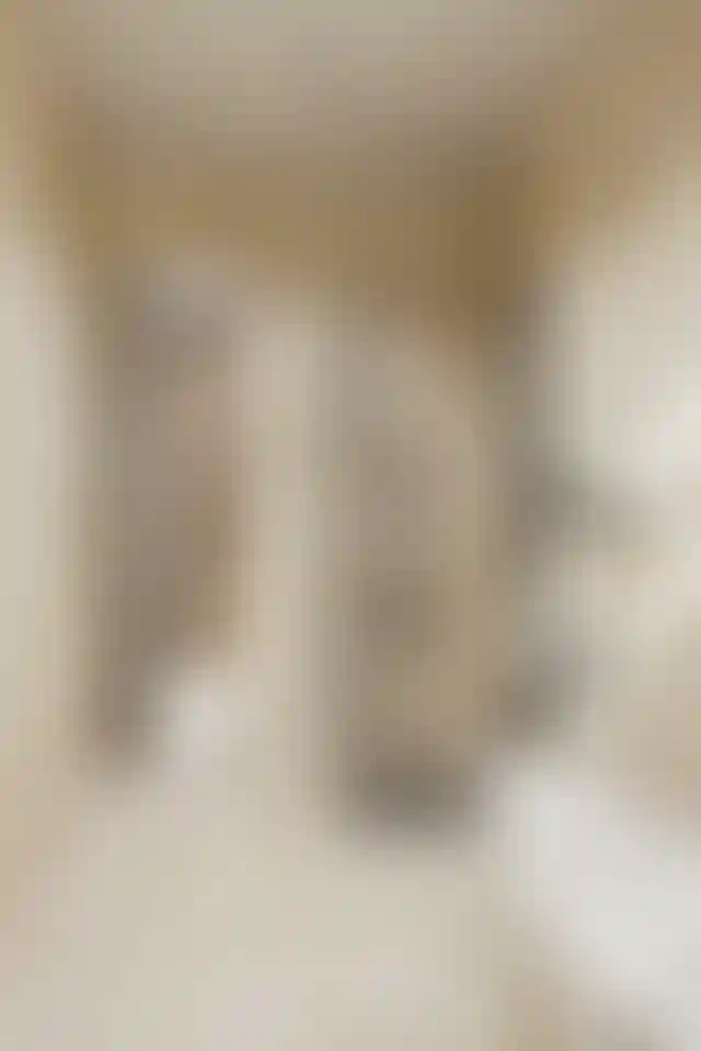 image for main block