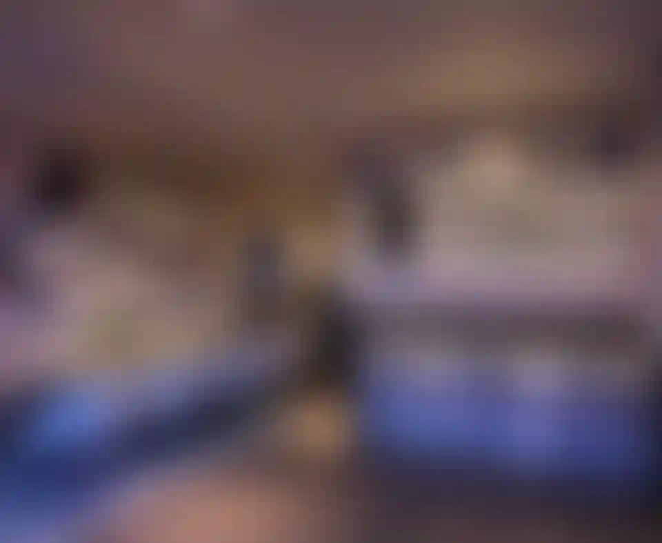 image for main block