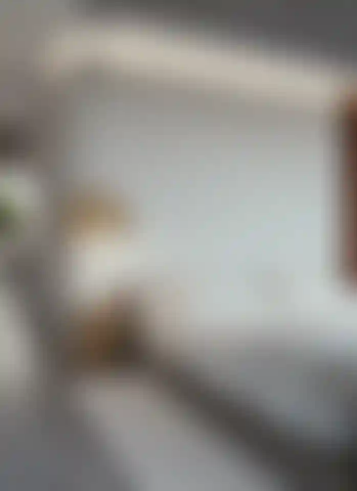 image for main block