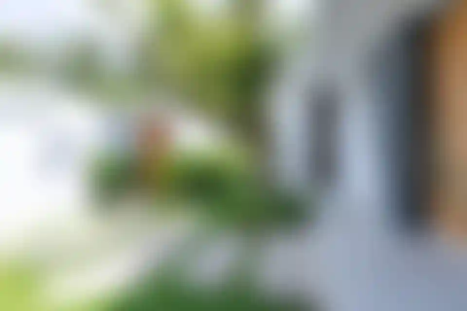 image for main block