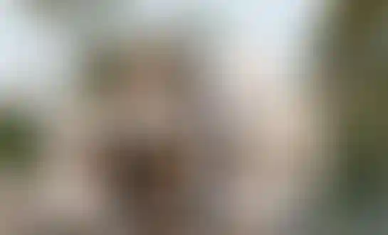 image for main block