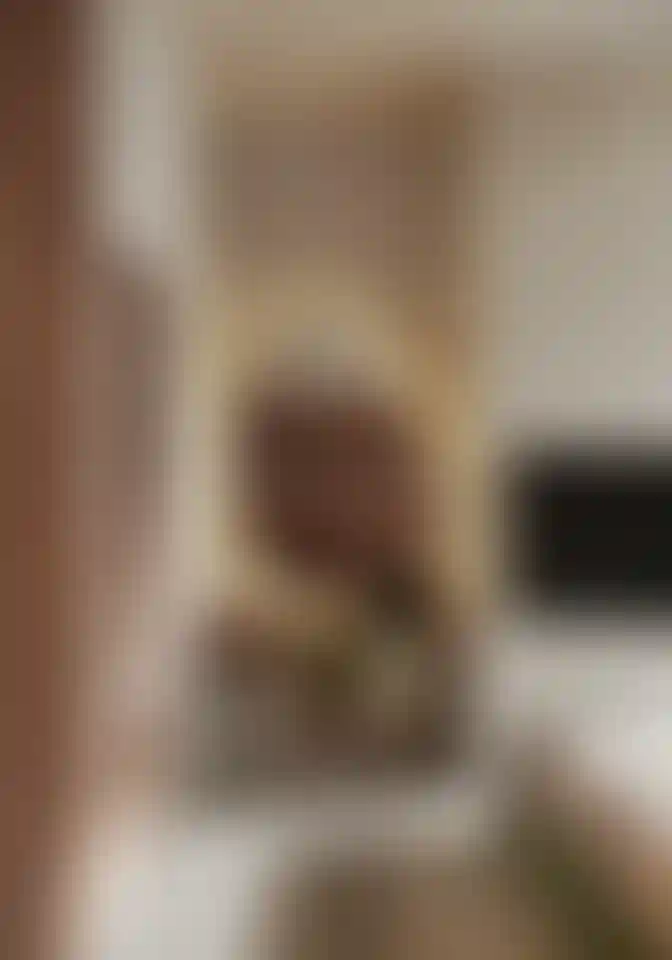 image for main block