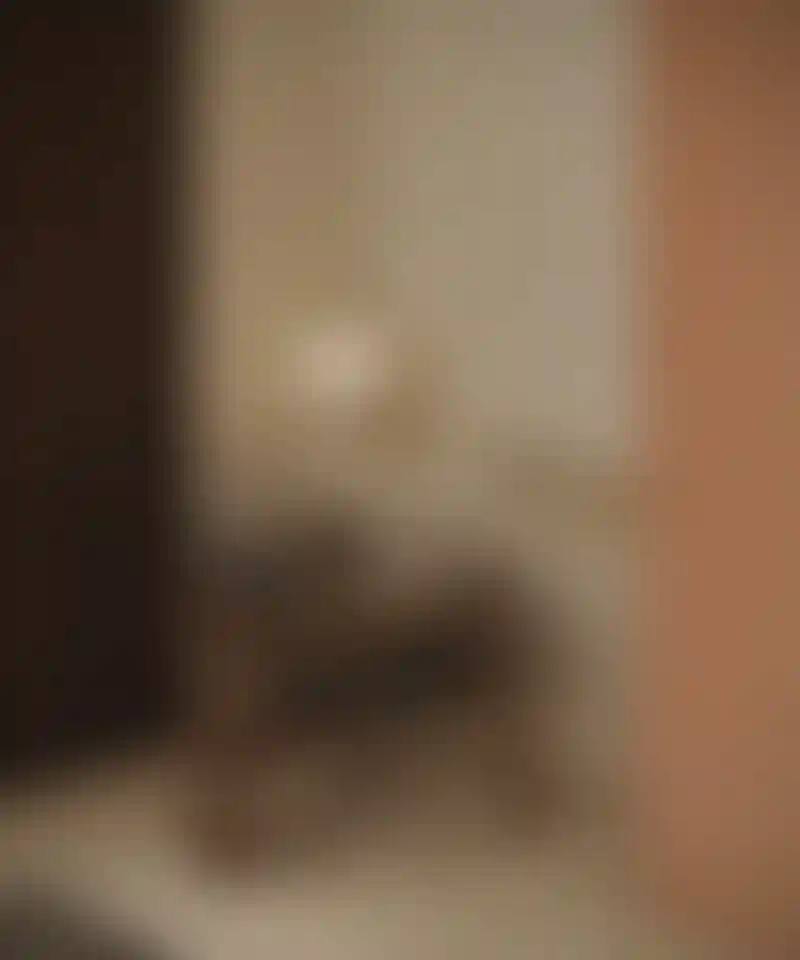 image for main block