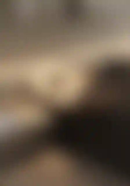 image for main block